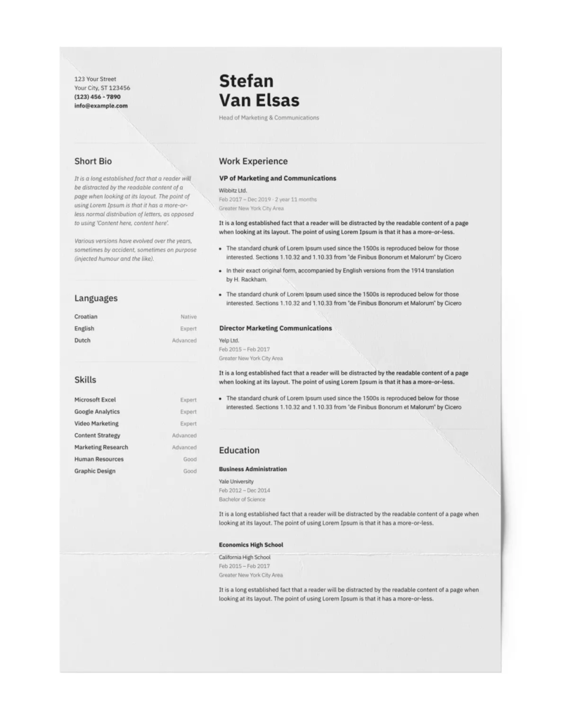 CV Maker CV example